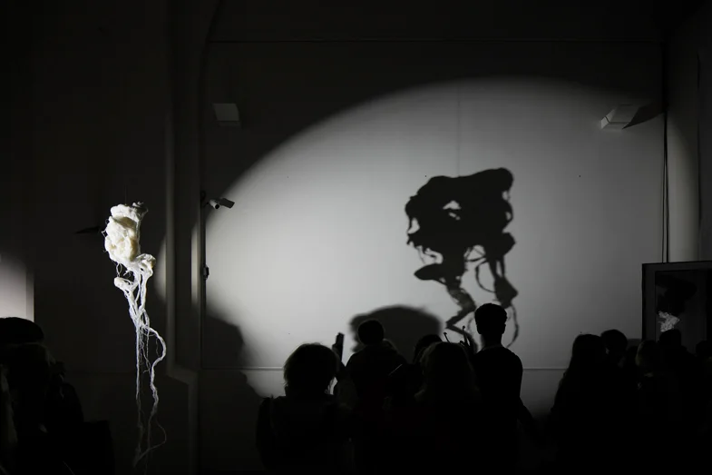 6 Heads, installation view 3