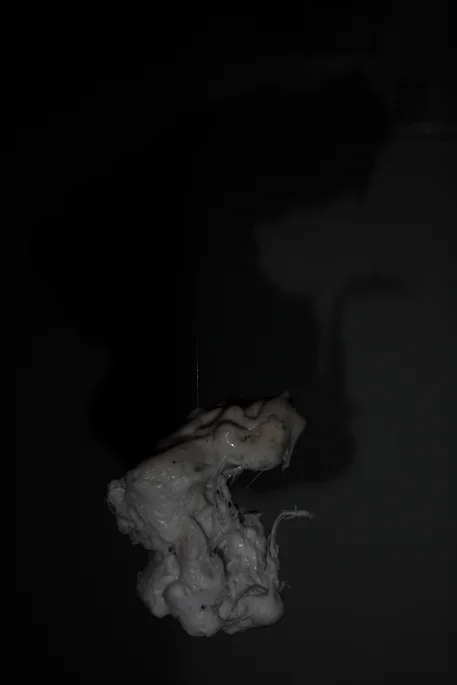 6 Heads, installation view 8