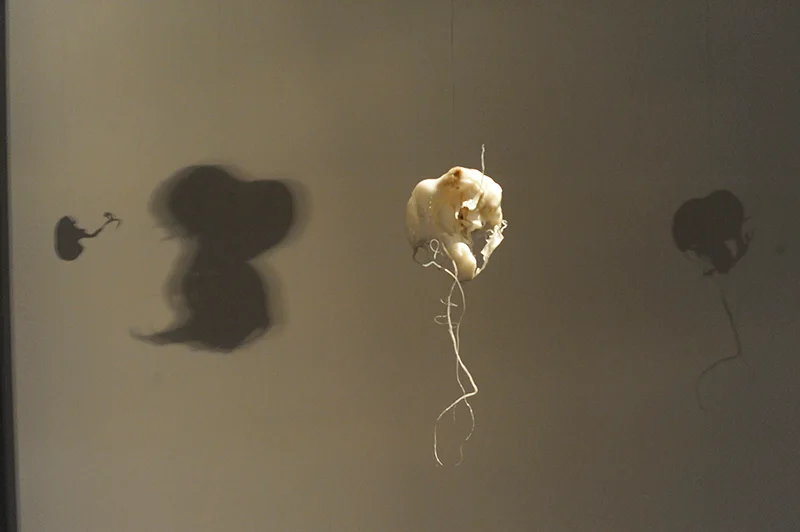 De nulle part, installation view 12