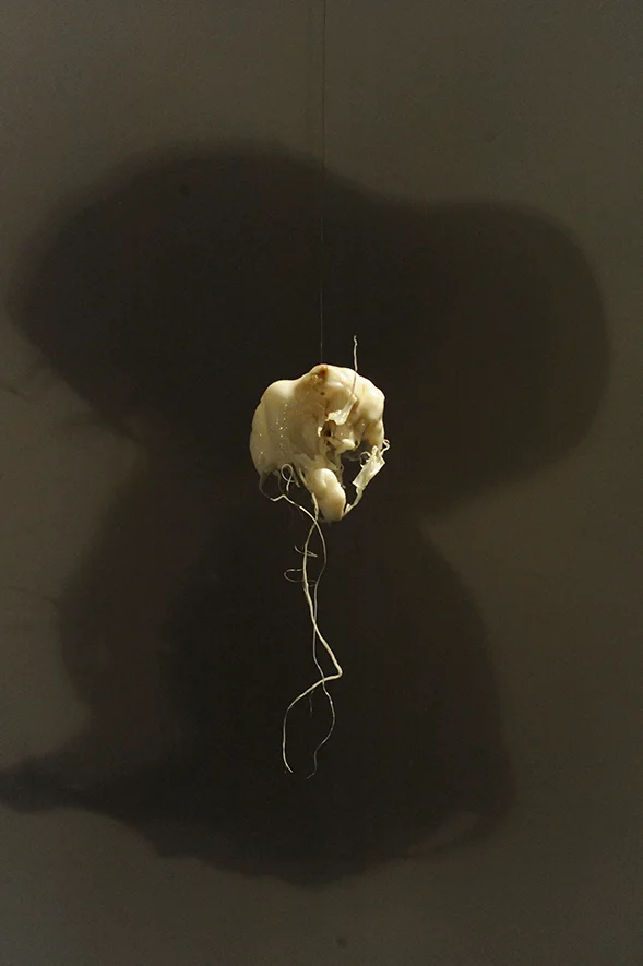 De nulle part, installation view 13