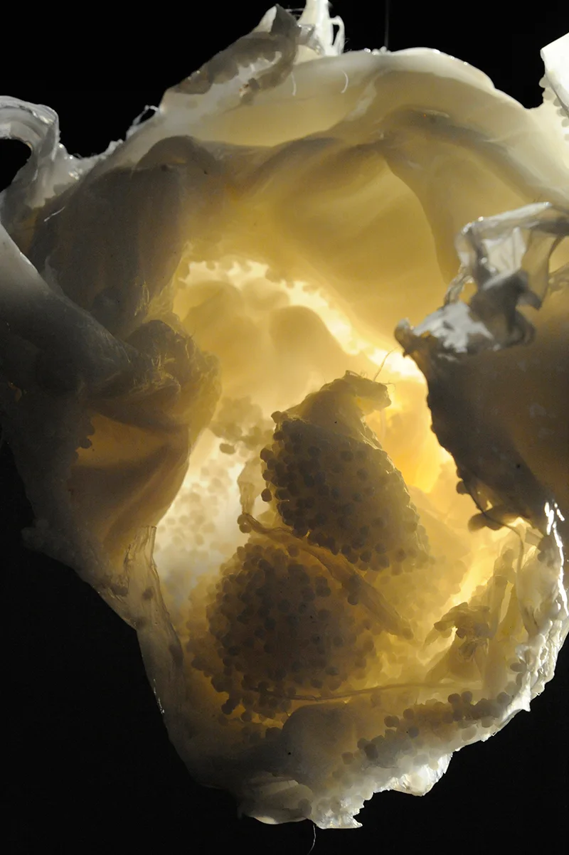 De nulle part, installation view 16