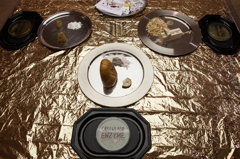 Foood, installation view 1