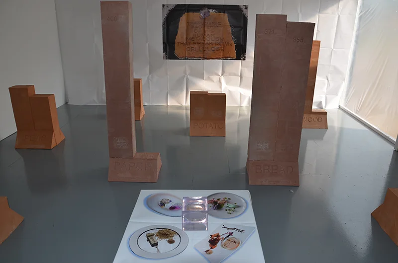 Foood 2050, installation view 2