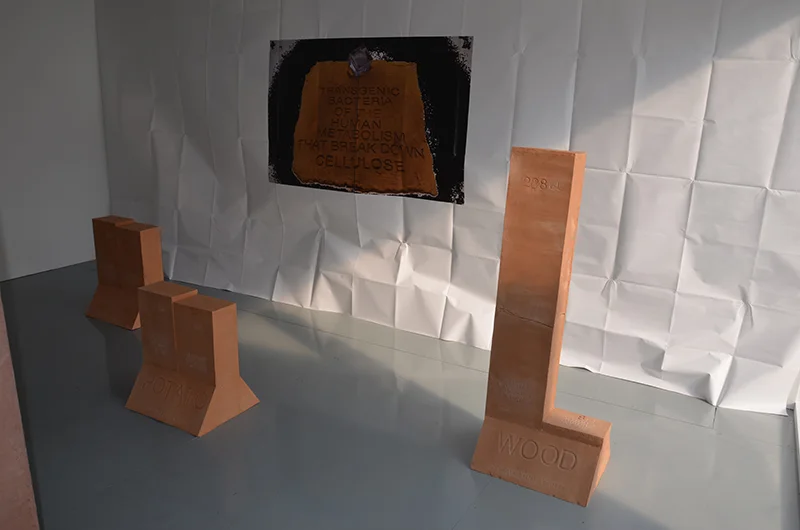 Foood 2050, installation view 4