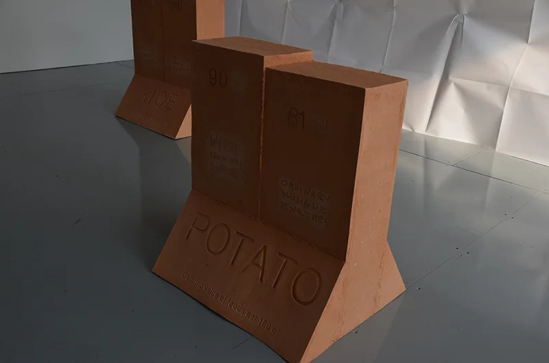 Foood 2050, installation view 7