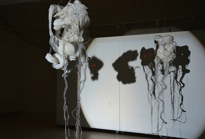 Mutant selection, installation view 1