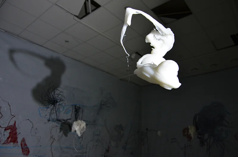 Mutant selection, installation view 12
