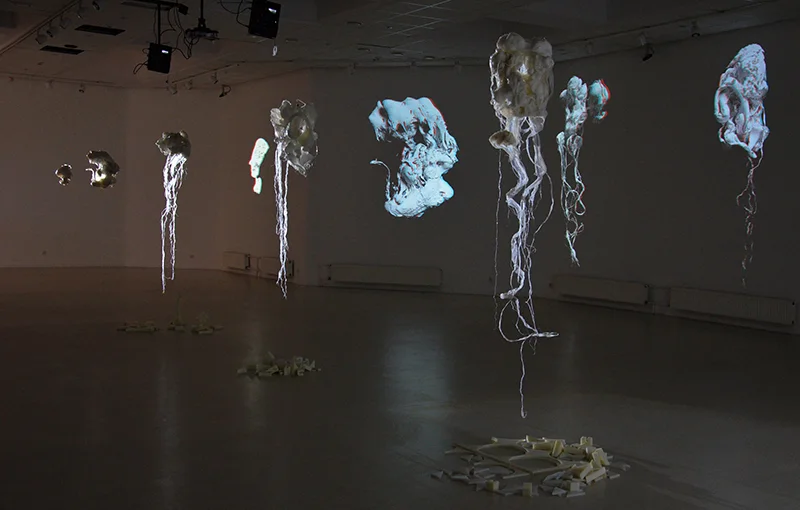 Mutant selection, installation view 3