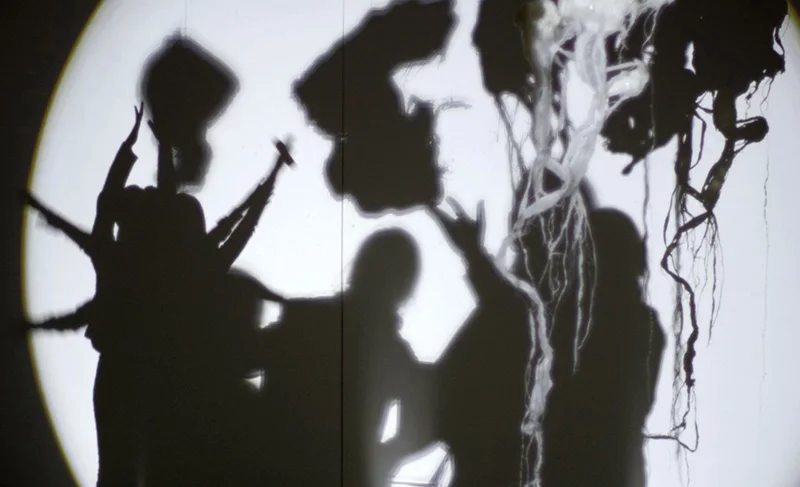 Mutant selection, installation view 5