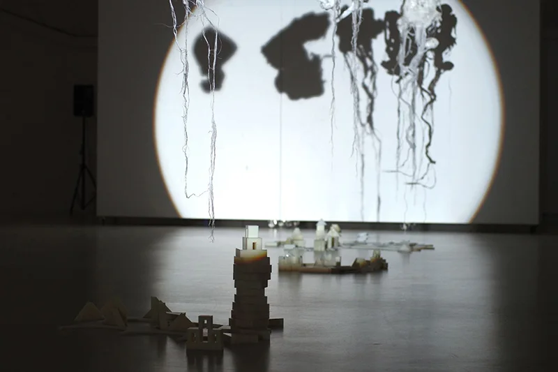 Mutant selection, installation view 6