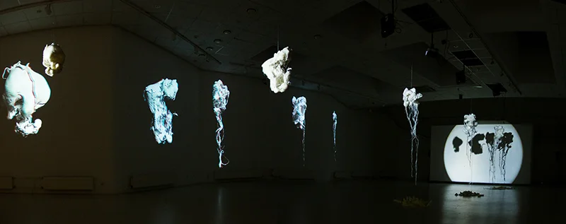 Mutant selection, installation view 7