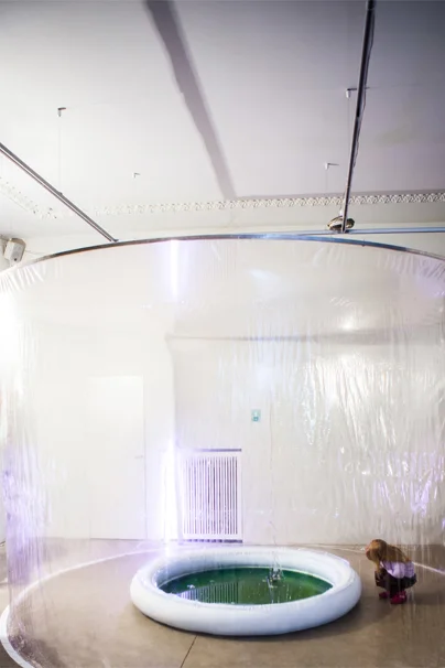 Photosynthesis Purple, installation view 1