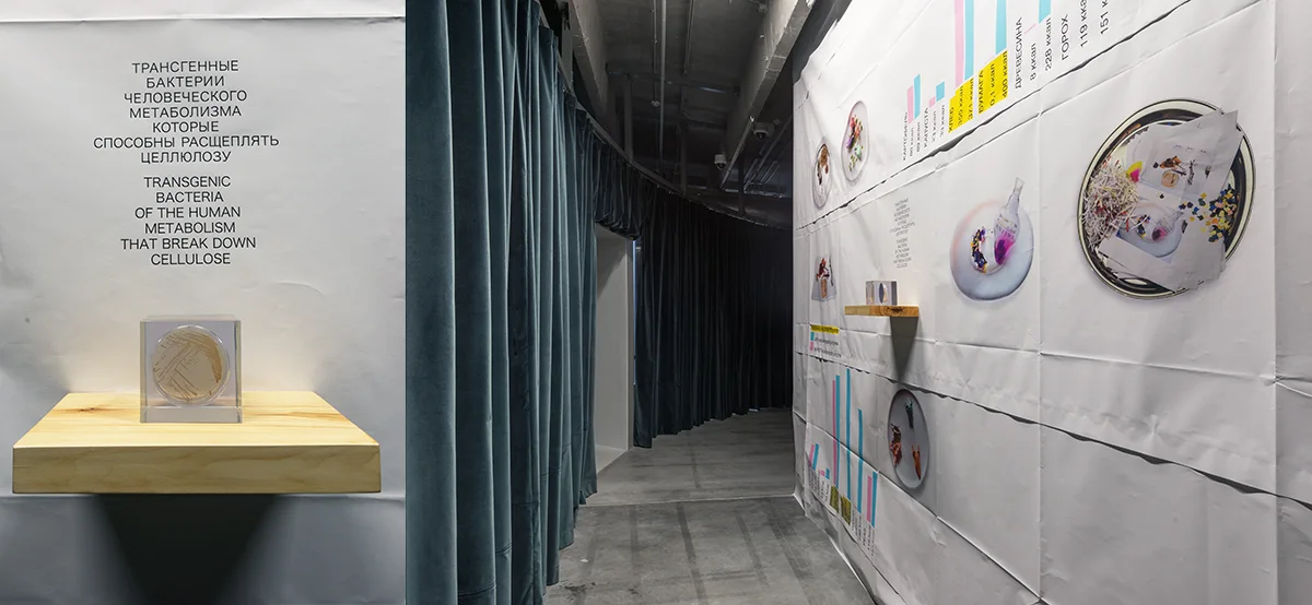 SAN Foood office, installation view 1